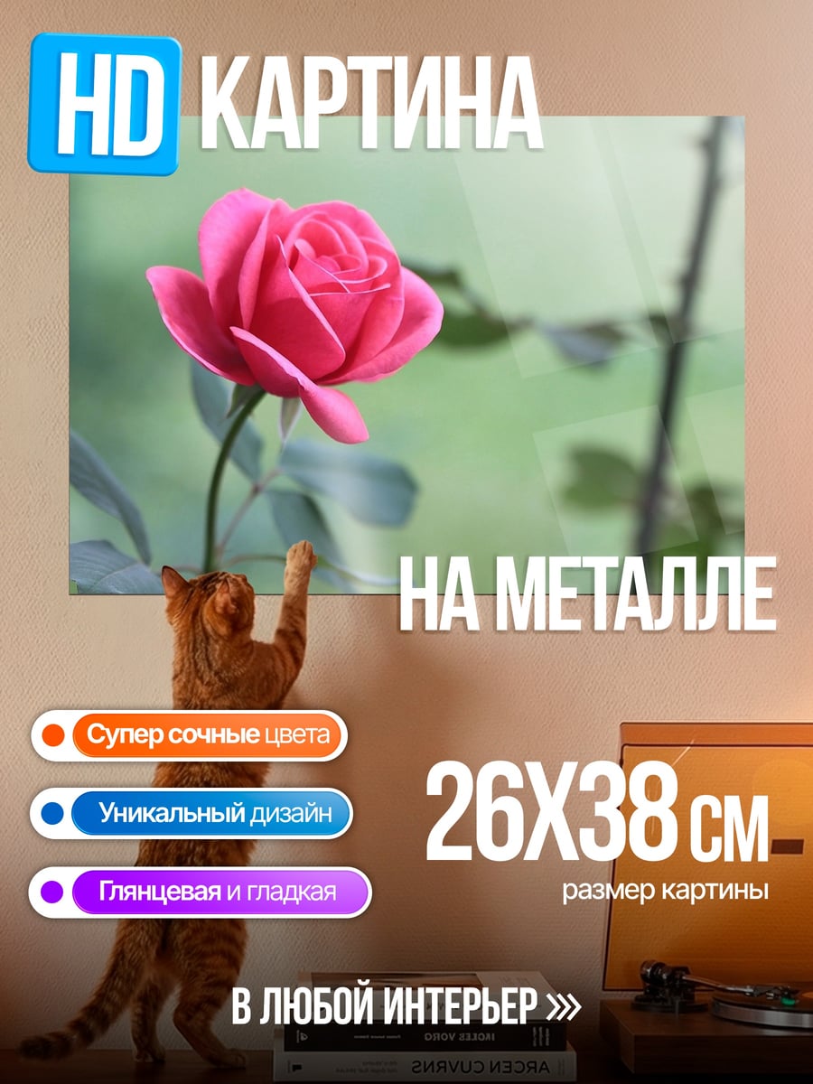 Картина на металле Розовая роза