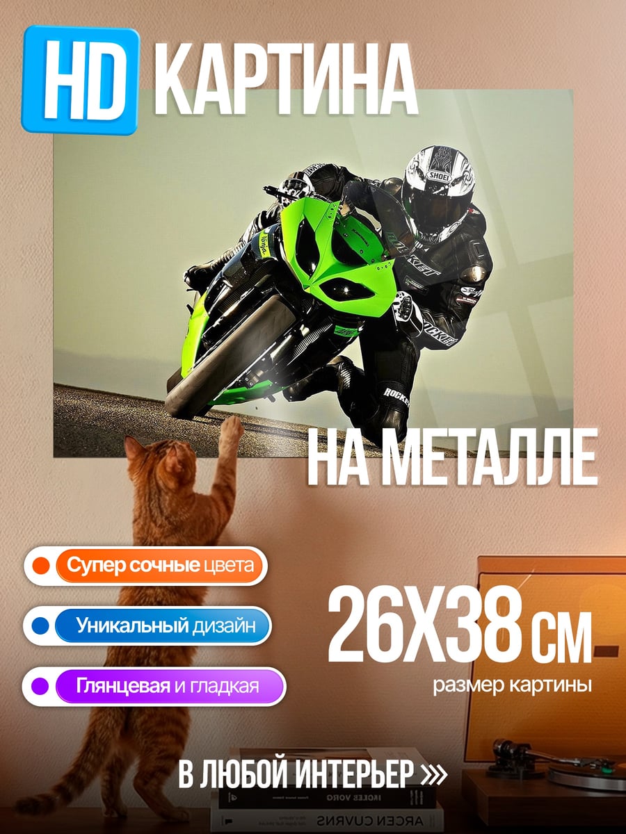 Картина на металле Гонщик на мотоцикле