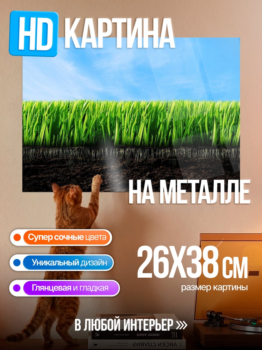 Картина на металле зеленая трава небо