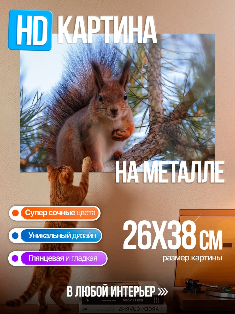 Картина на металле Белка на ветке