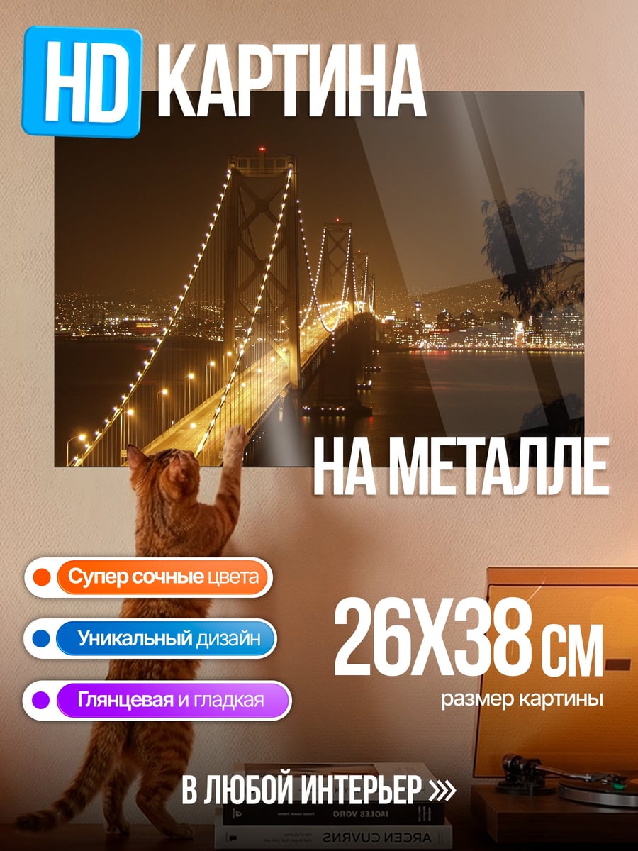 Картина на металле Мост в ночи