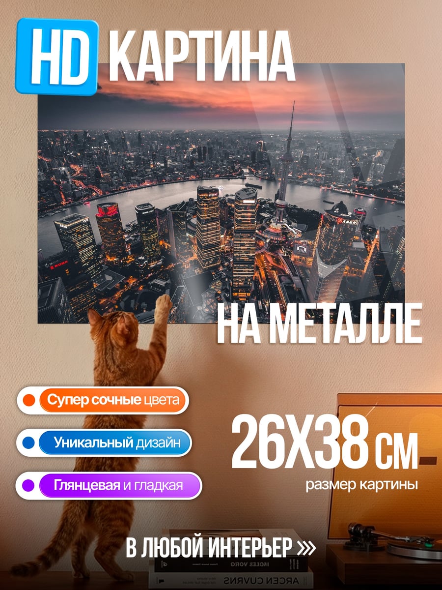 Картина на металле Городской пейзаж Шанхая