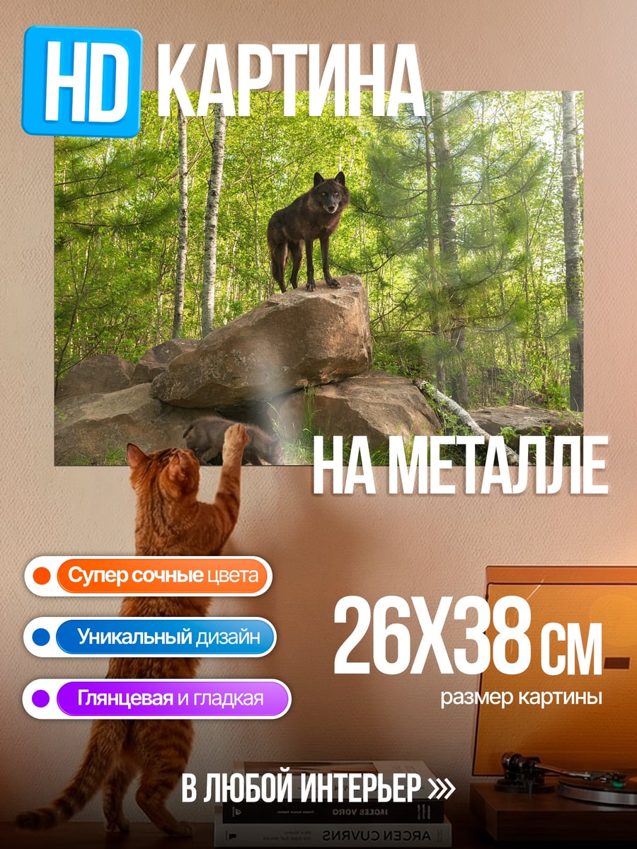 Картина на металле Черные волки в лесу