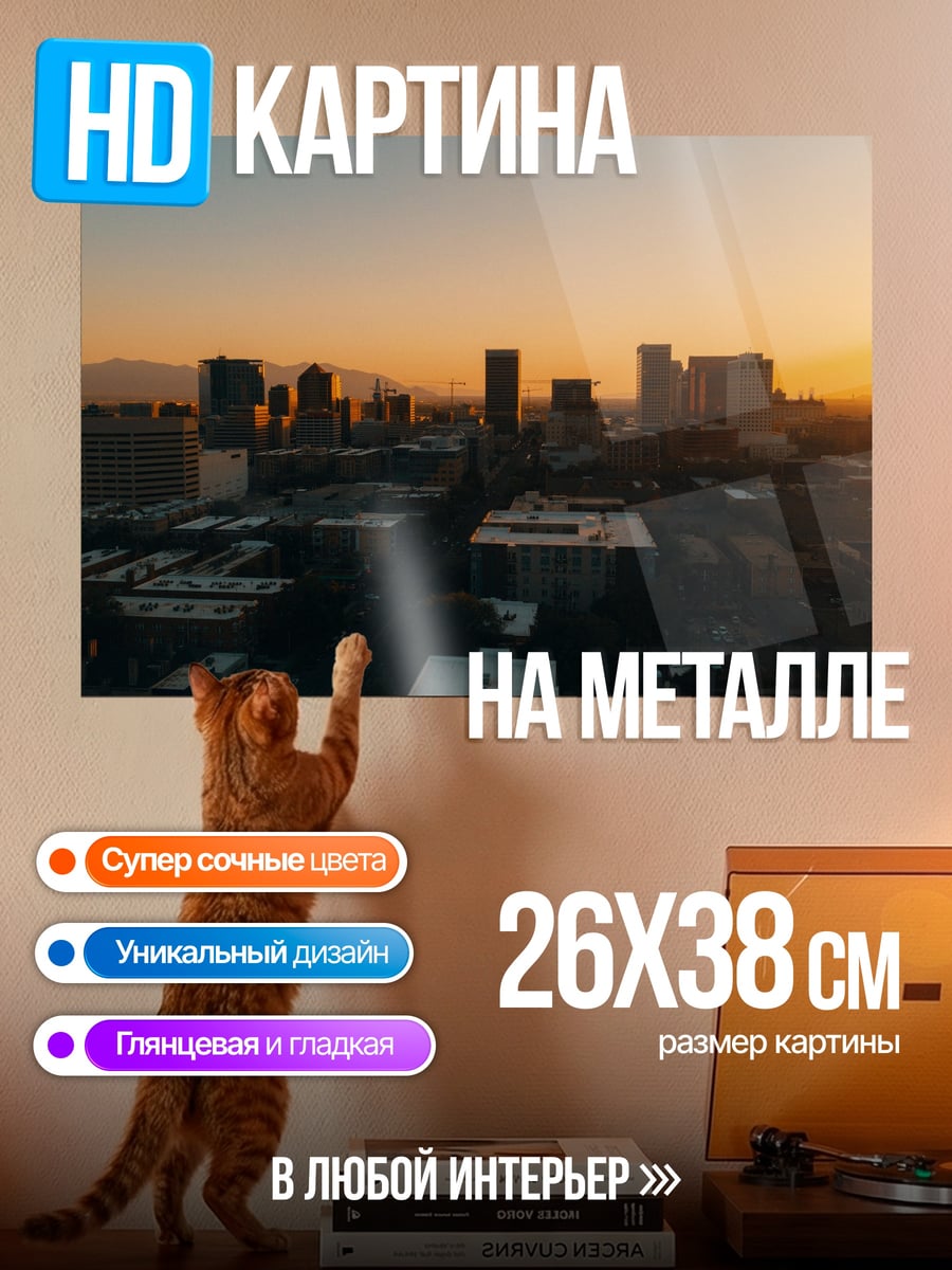 Картина на металле Городской закат