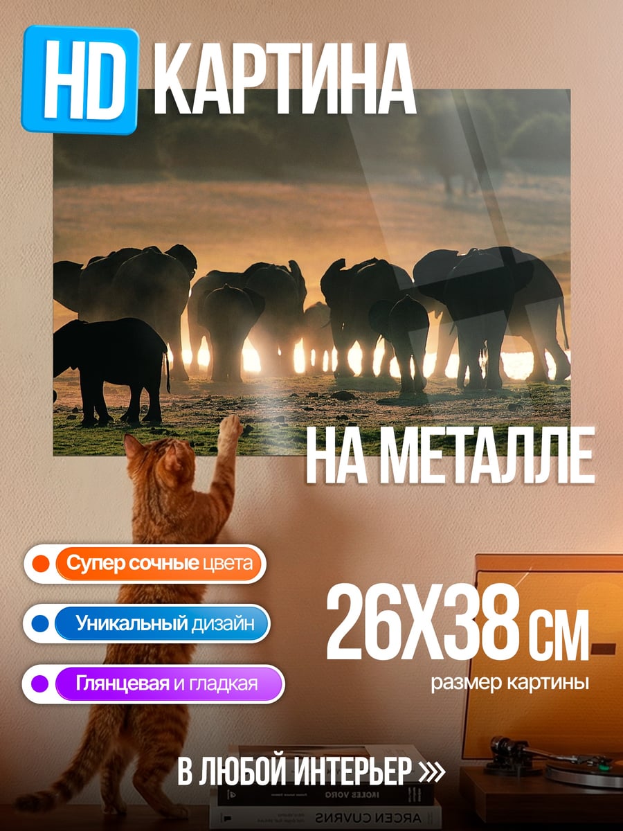 Картина на металле Стадо слонов на закате