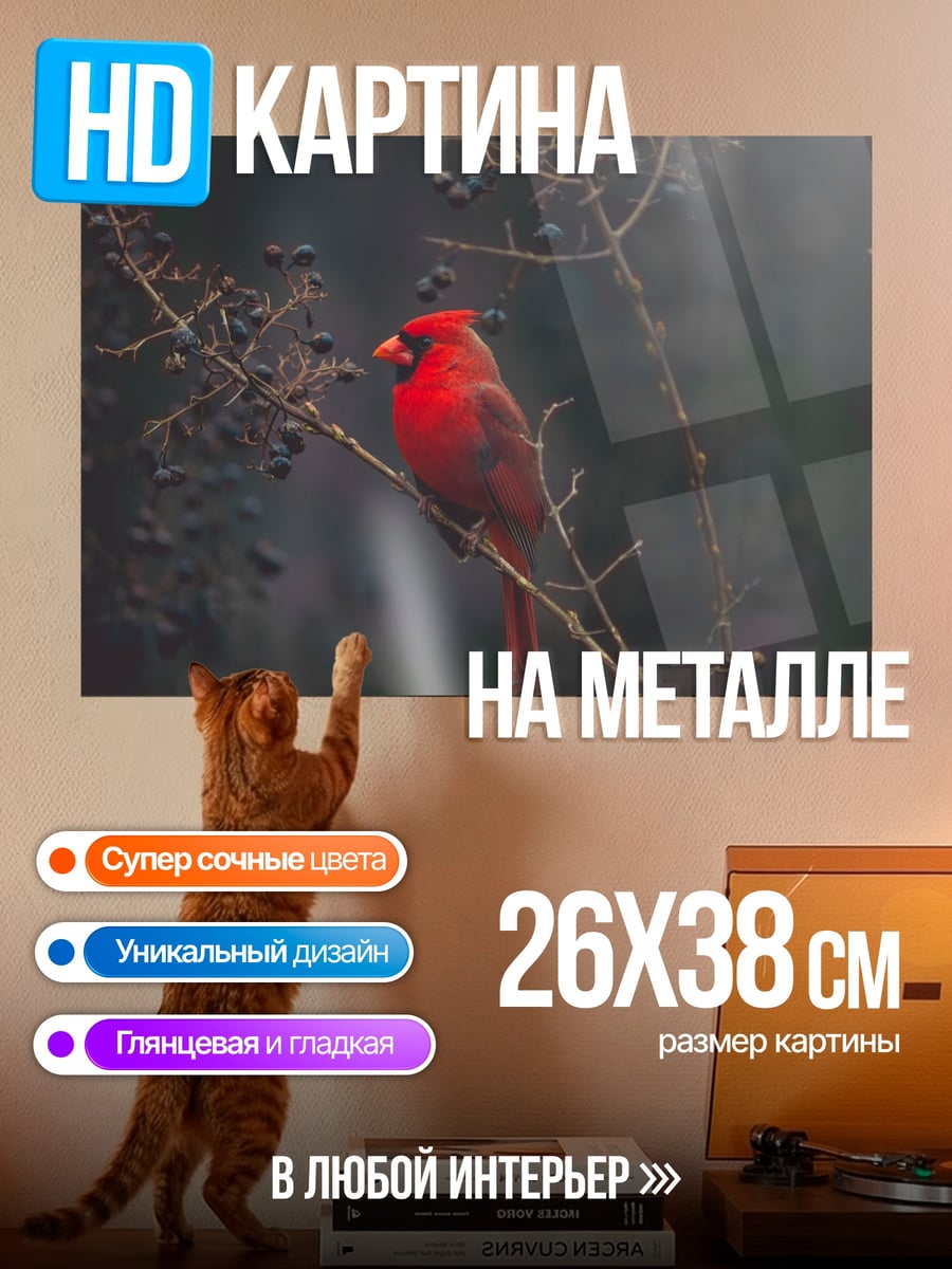 Картина на металле Красный кардинал птица