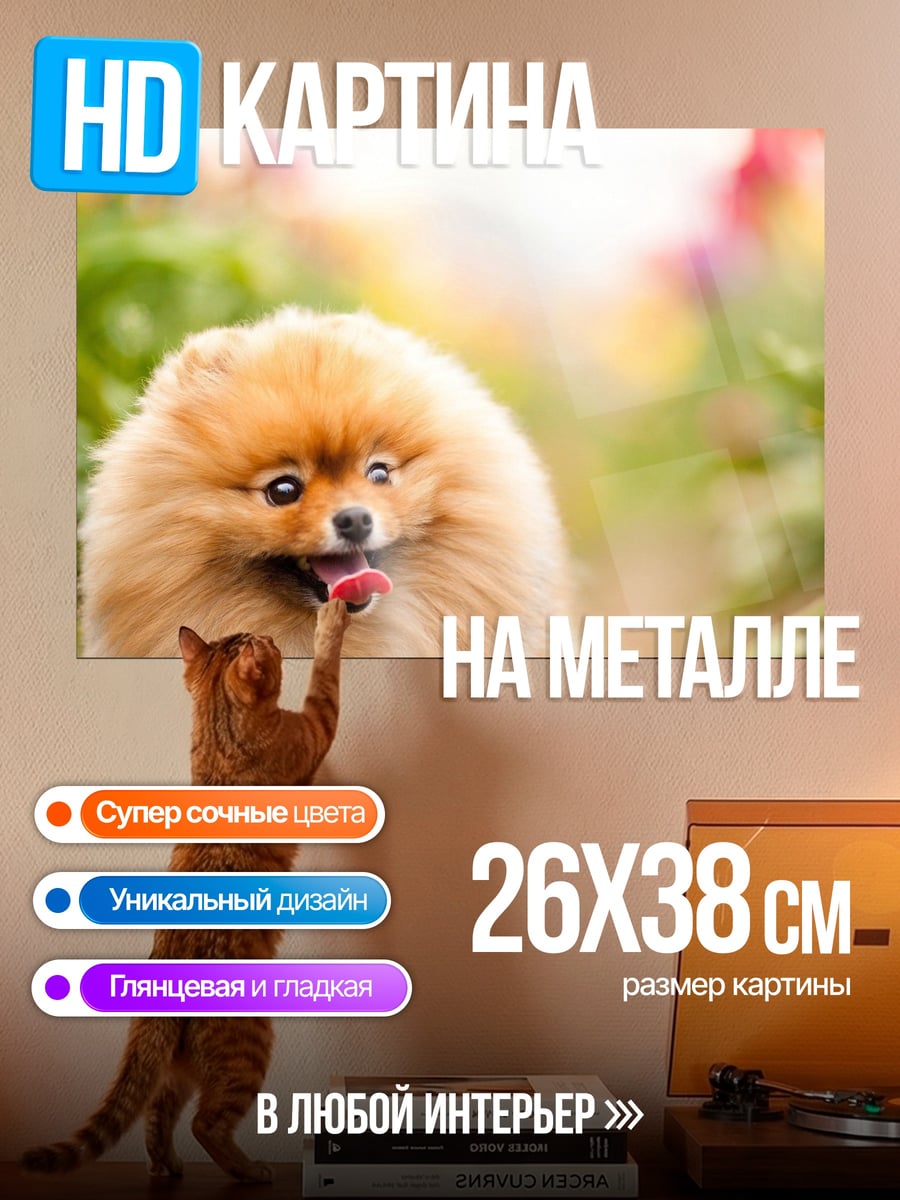 Картина на металле Шпиц в цветах