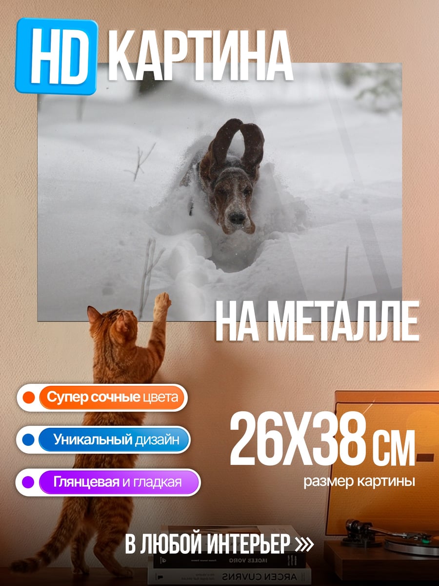 Картина на металле Собака в снегу