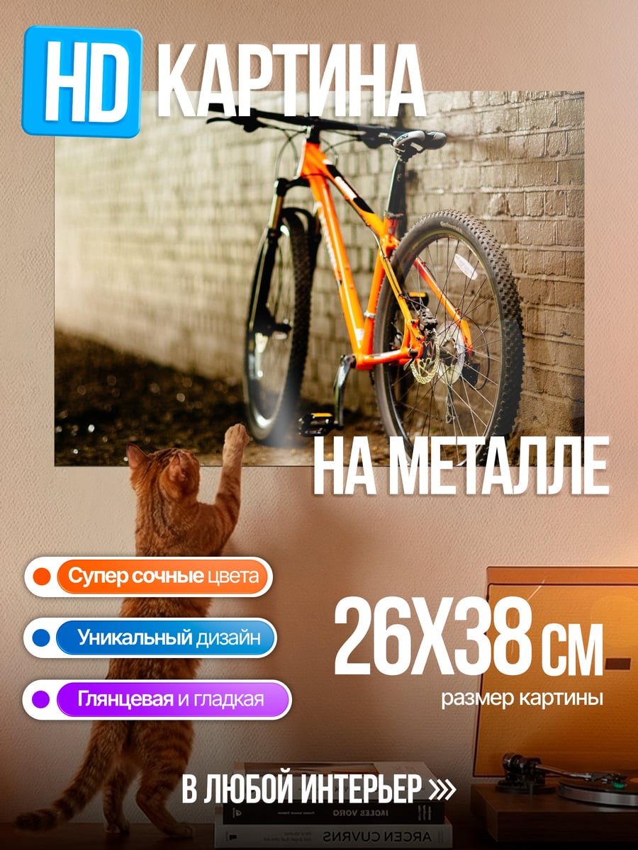 Картина на металле Оранжевый велосипед у стены