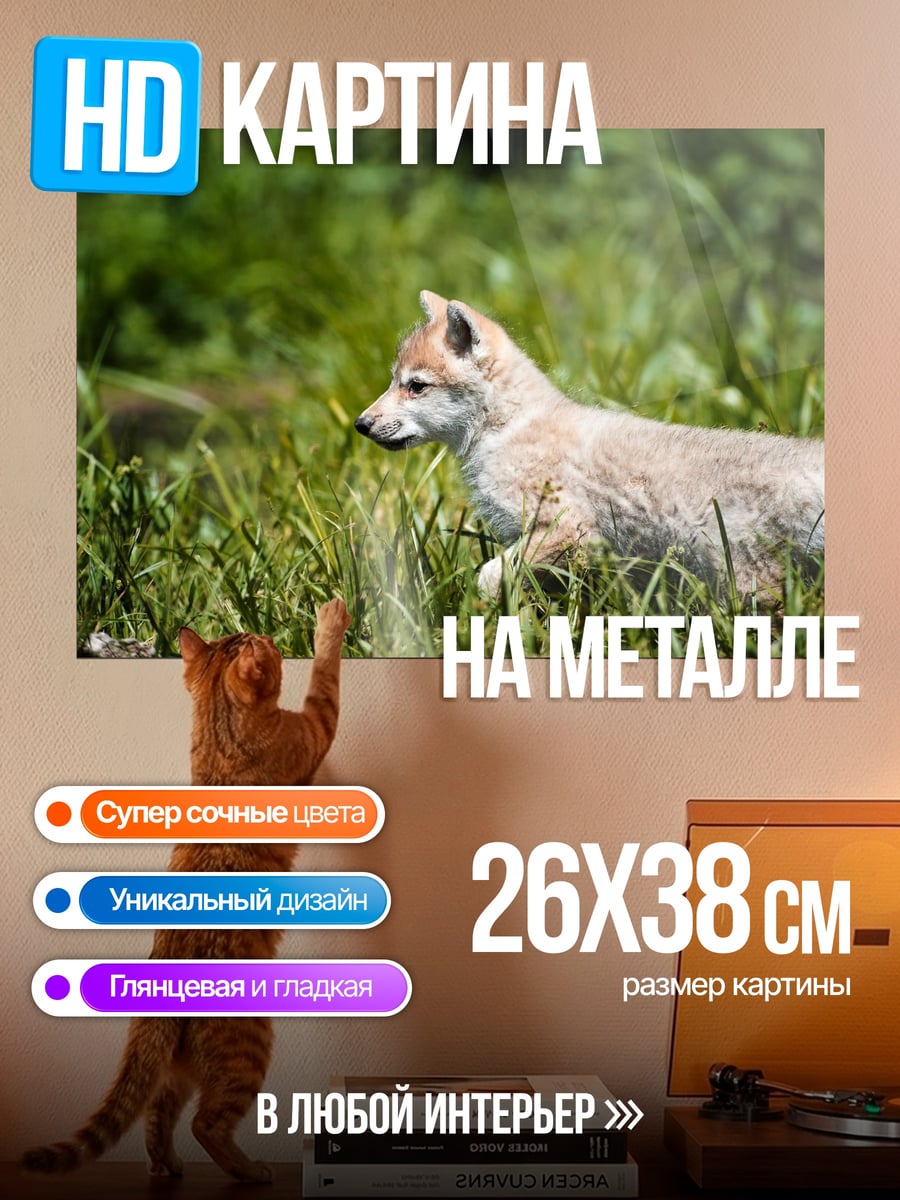Картина на металле Волчонок в траве