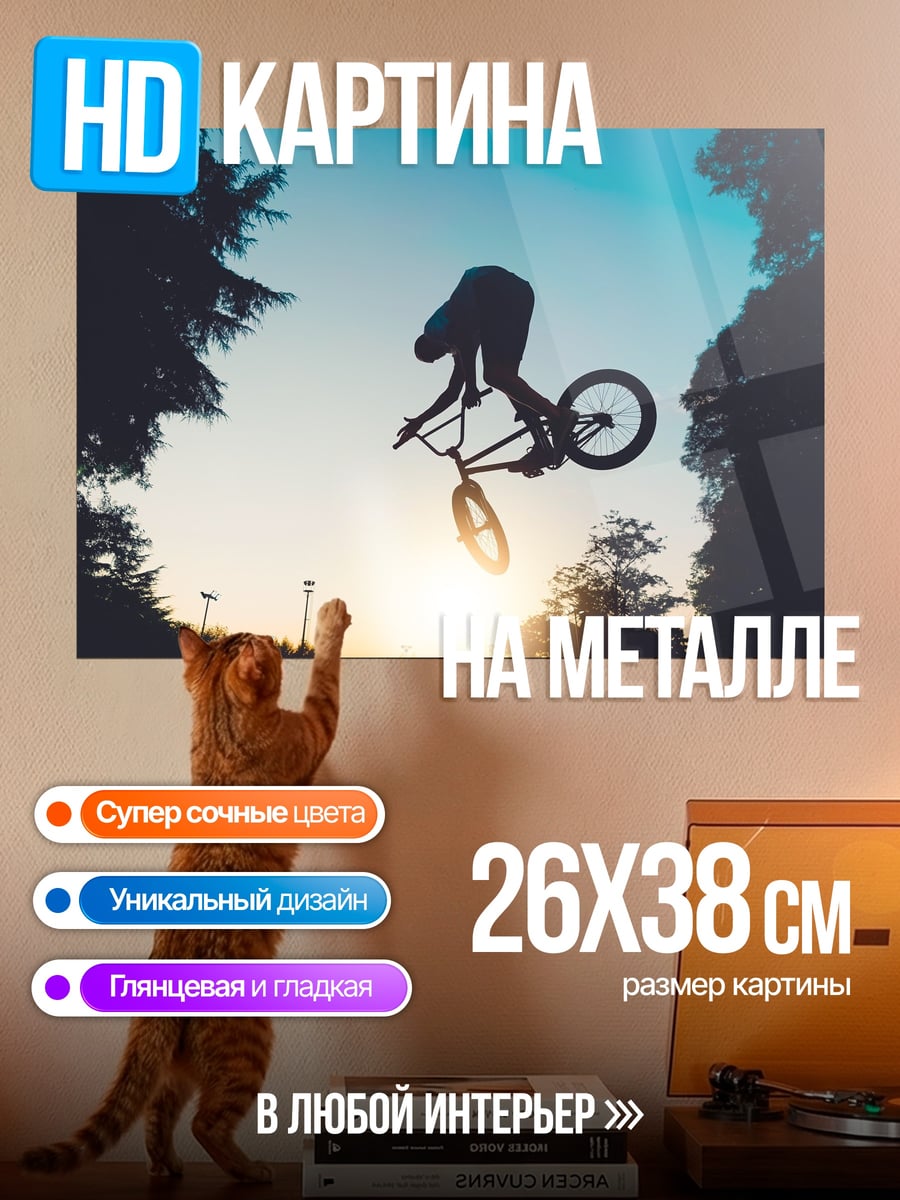 Картина на металле BMX трюк закат
