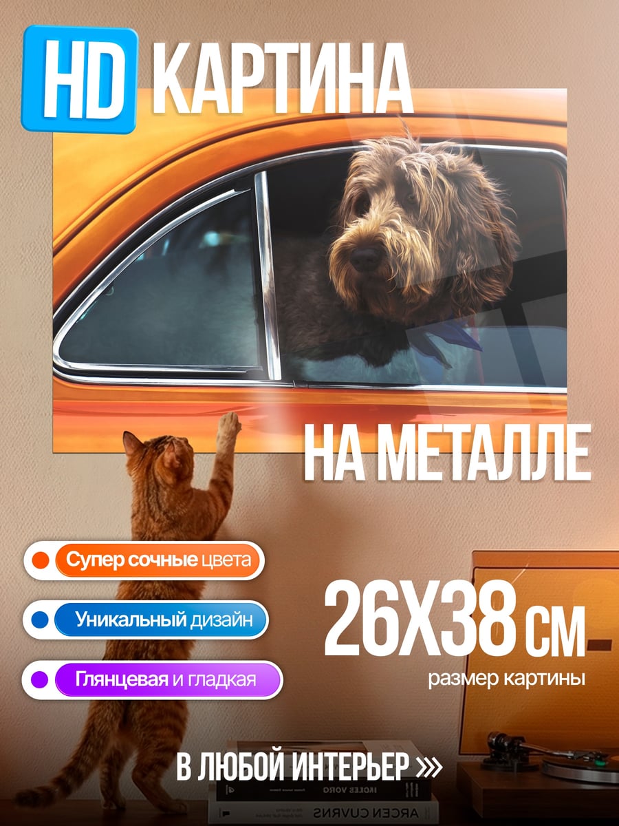 Картина на металле собака в машине