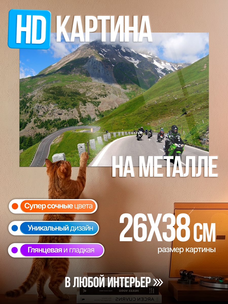 Картина на металле Горный мотопробег