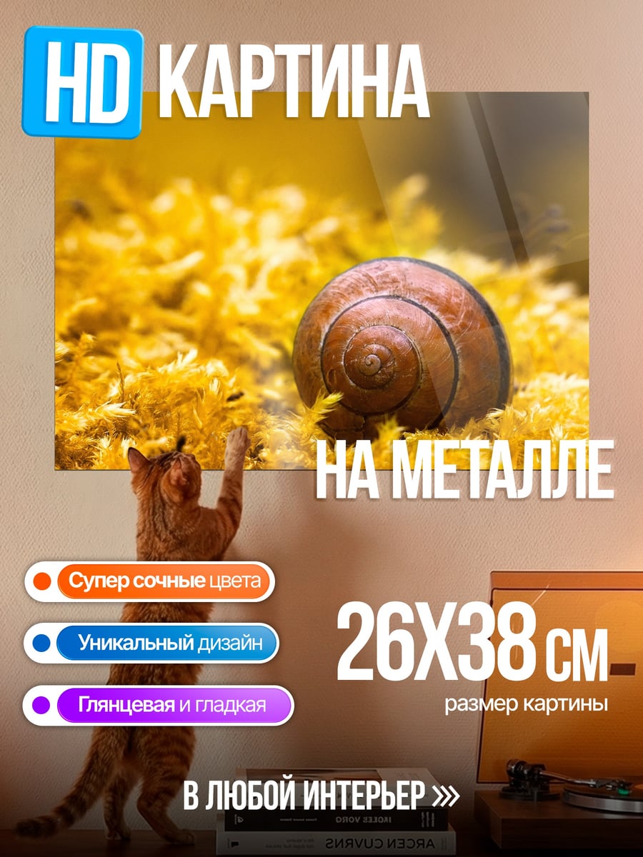 Картина на металле Улитка на мху