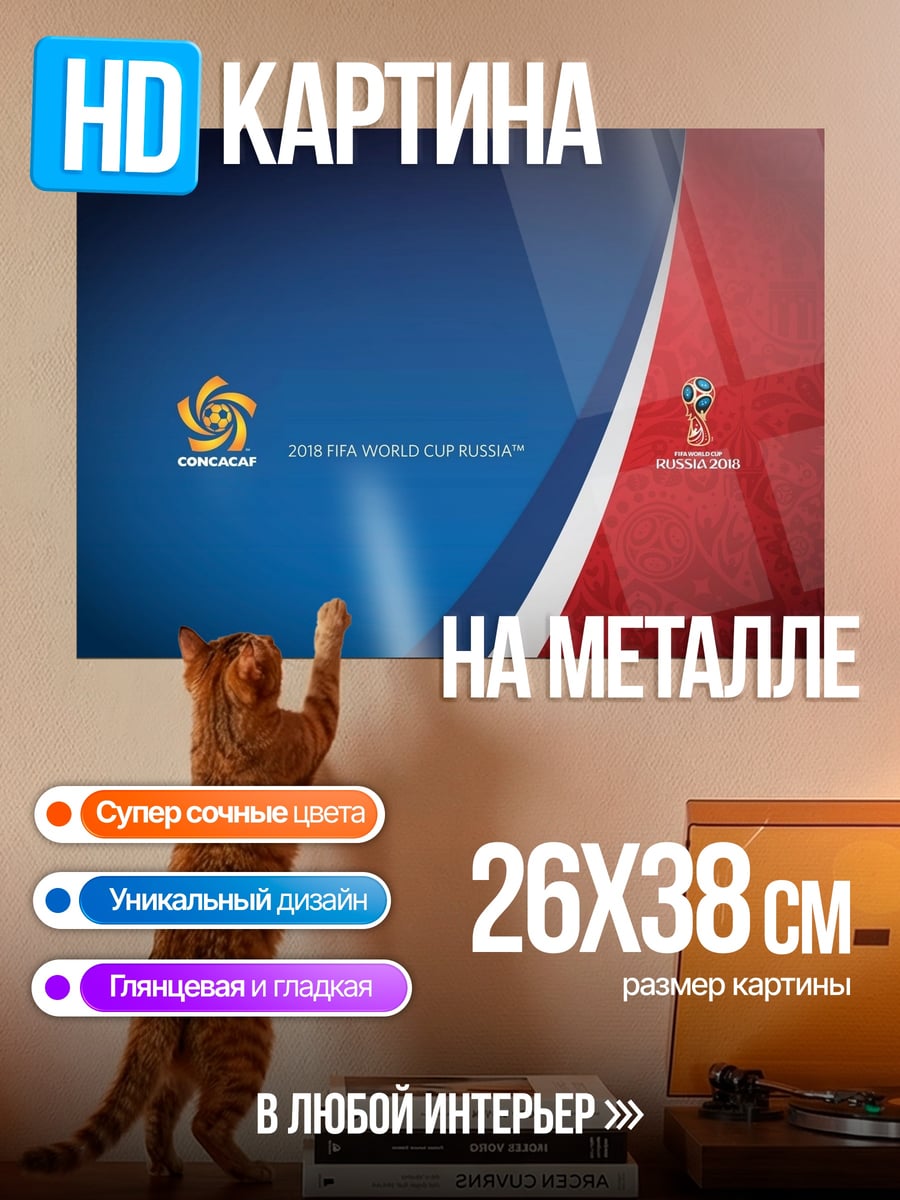 Картина на металле Логотип CONMEBOL