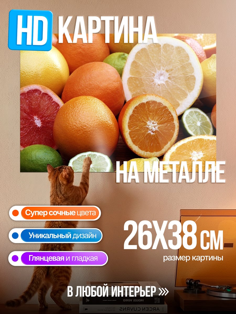 Картина на металле Цитрусовый микс