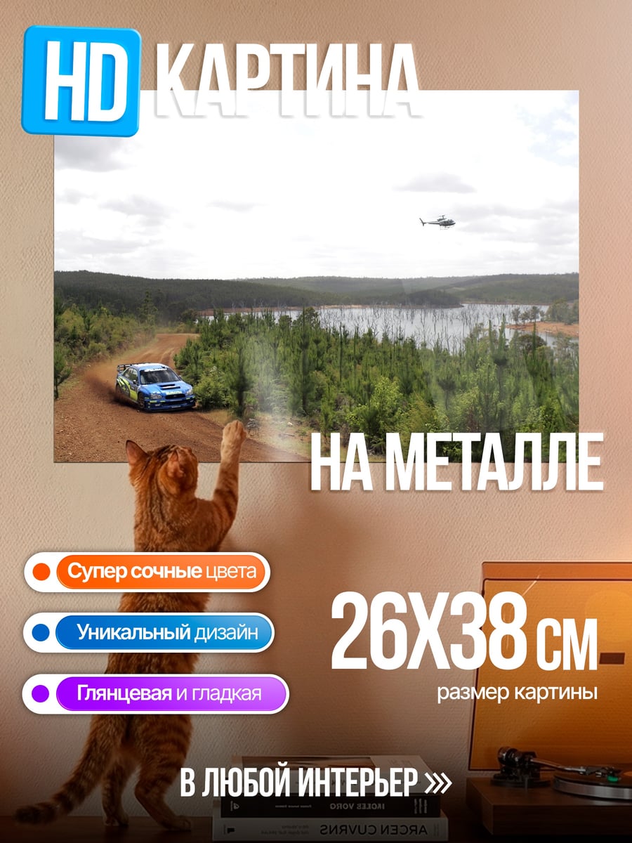 Картина на металле Ралли по бездорожью