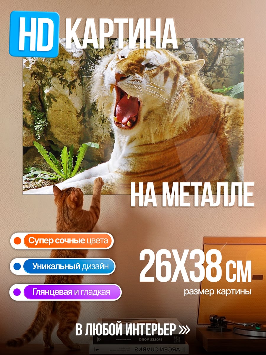Картина на металле Золотой тигр зевает