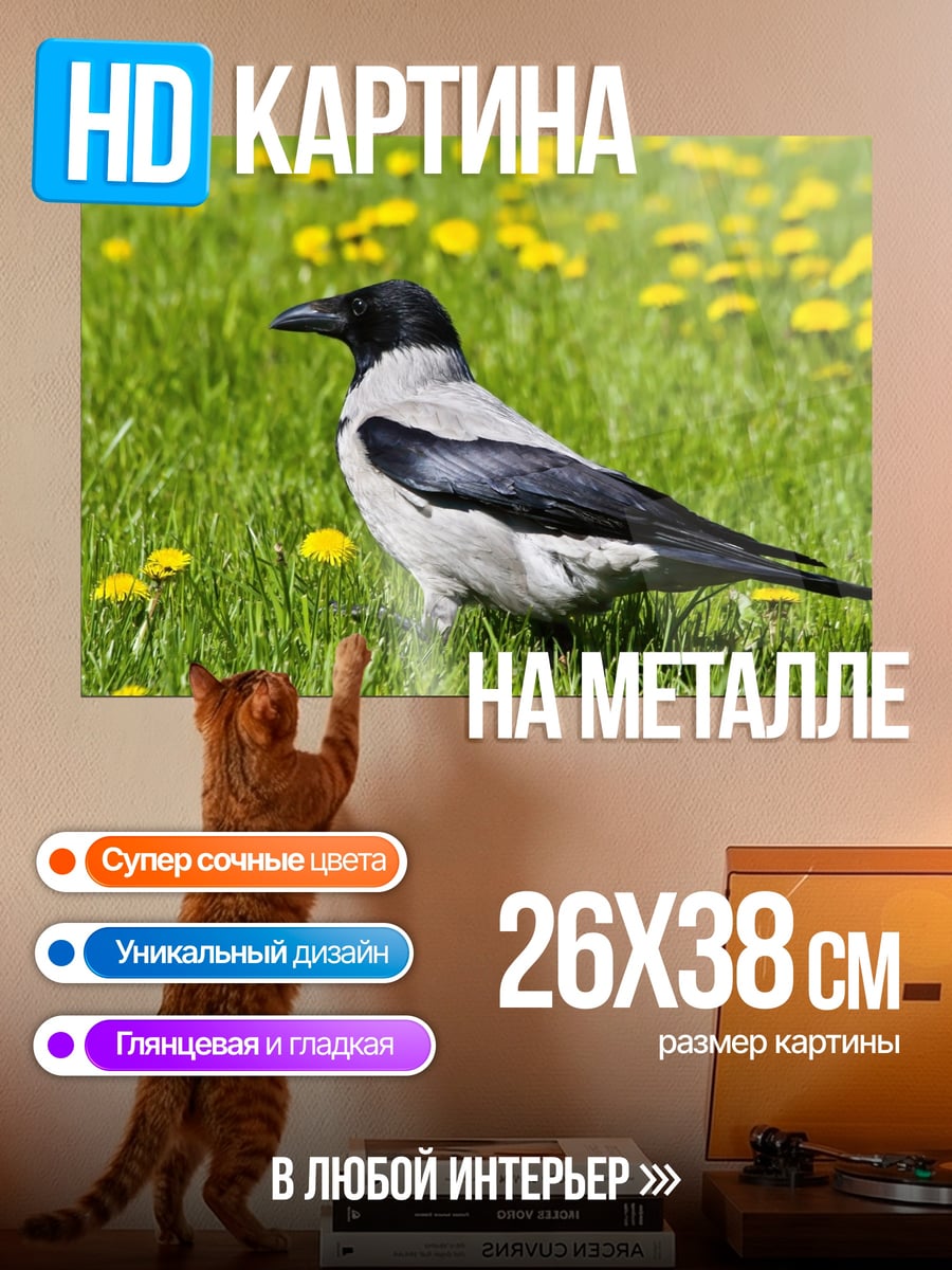 Картина на металле Ворона на лугу