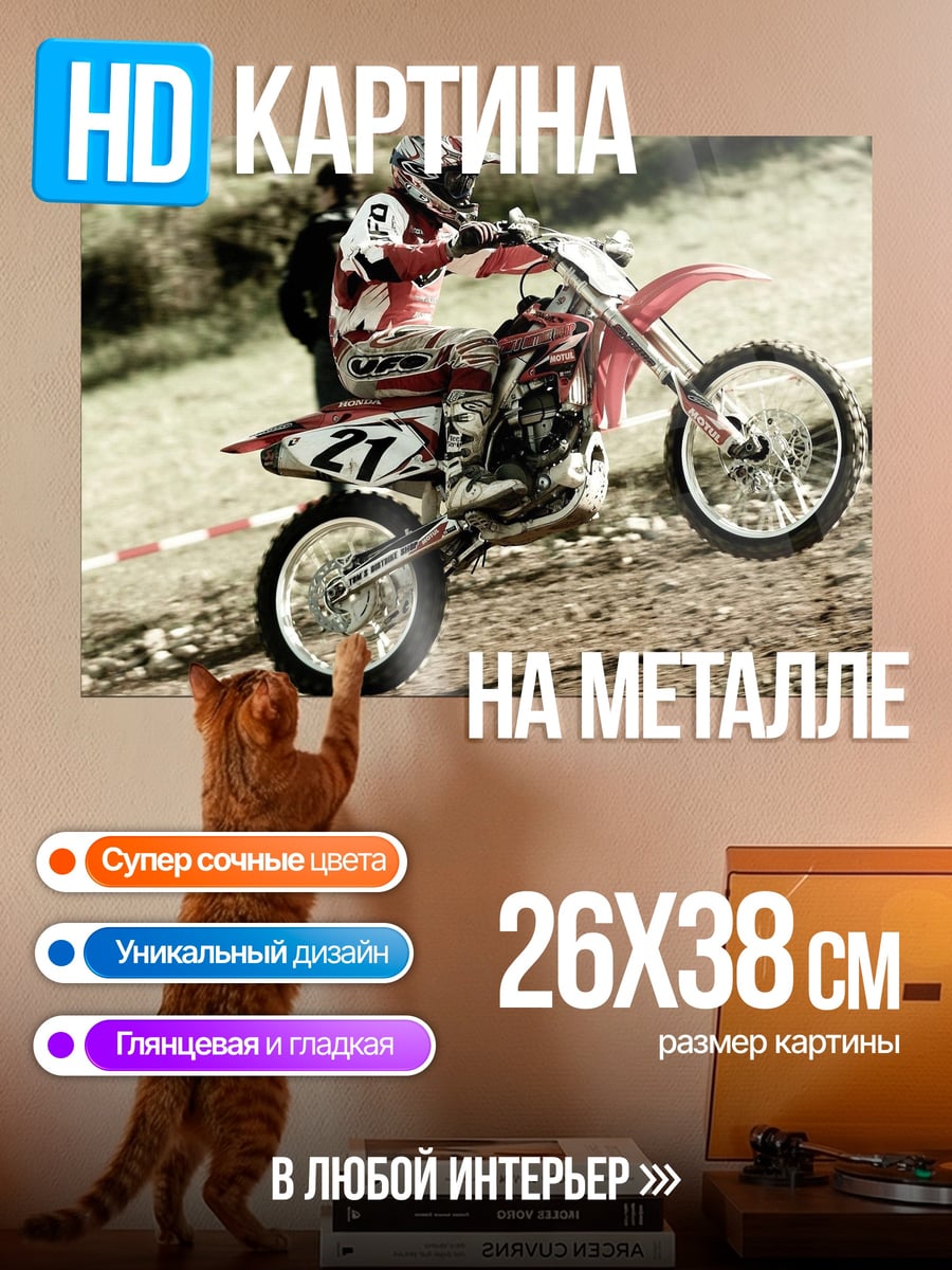 Картина на металле Мотоциклист на трассе