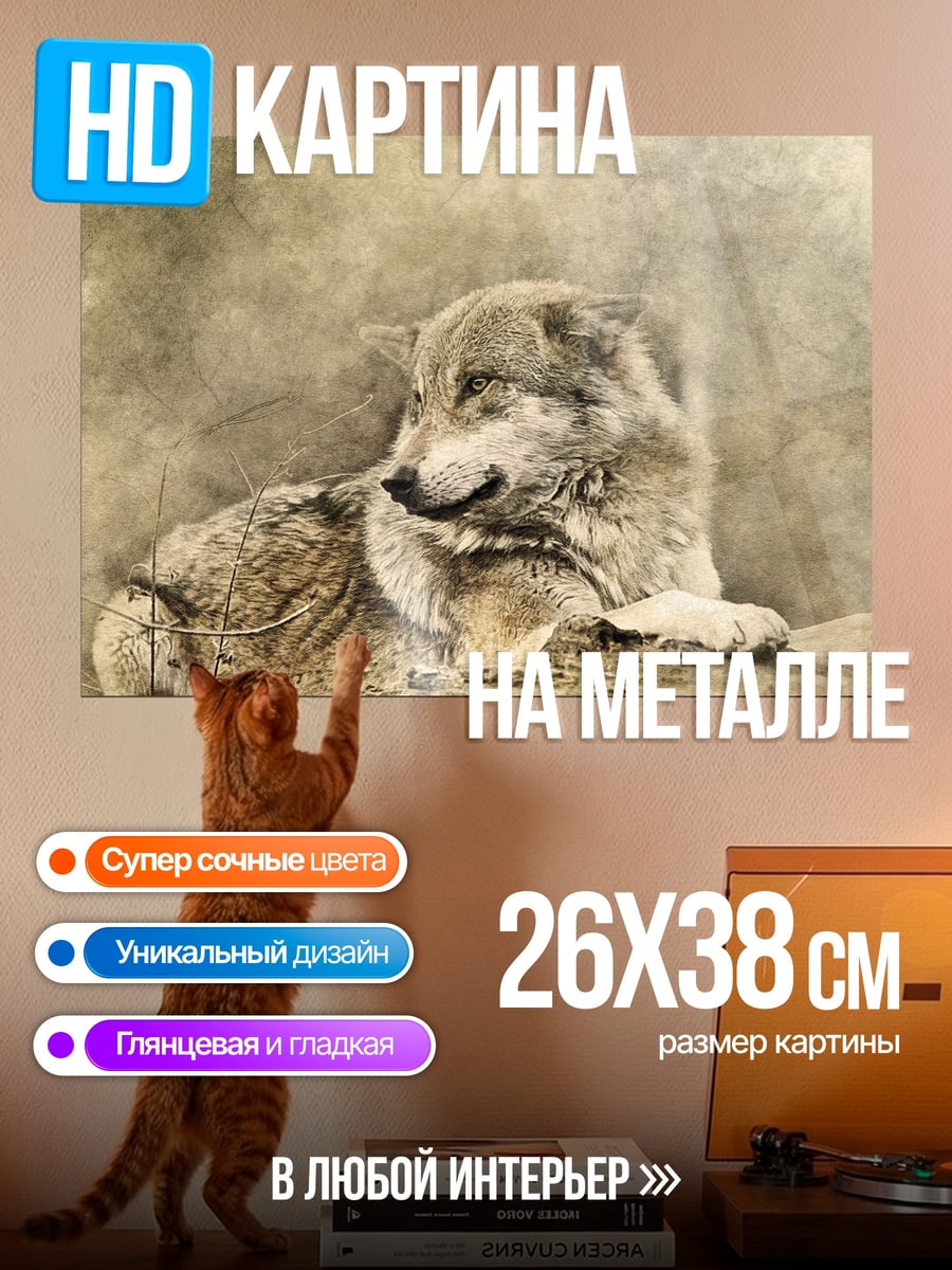 Картина на металле Лежащий волк арт