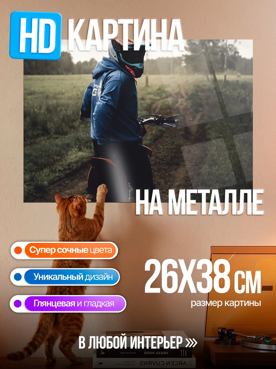 Картина на металле Мотоциклист в поле