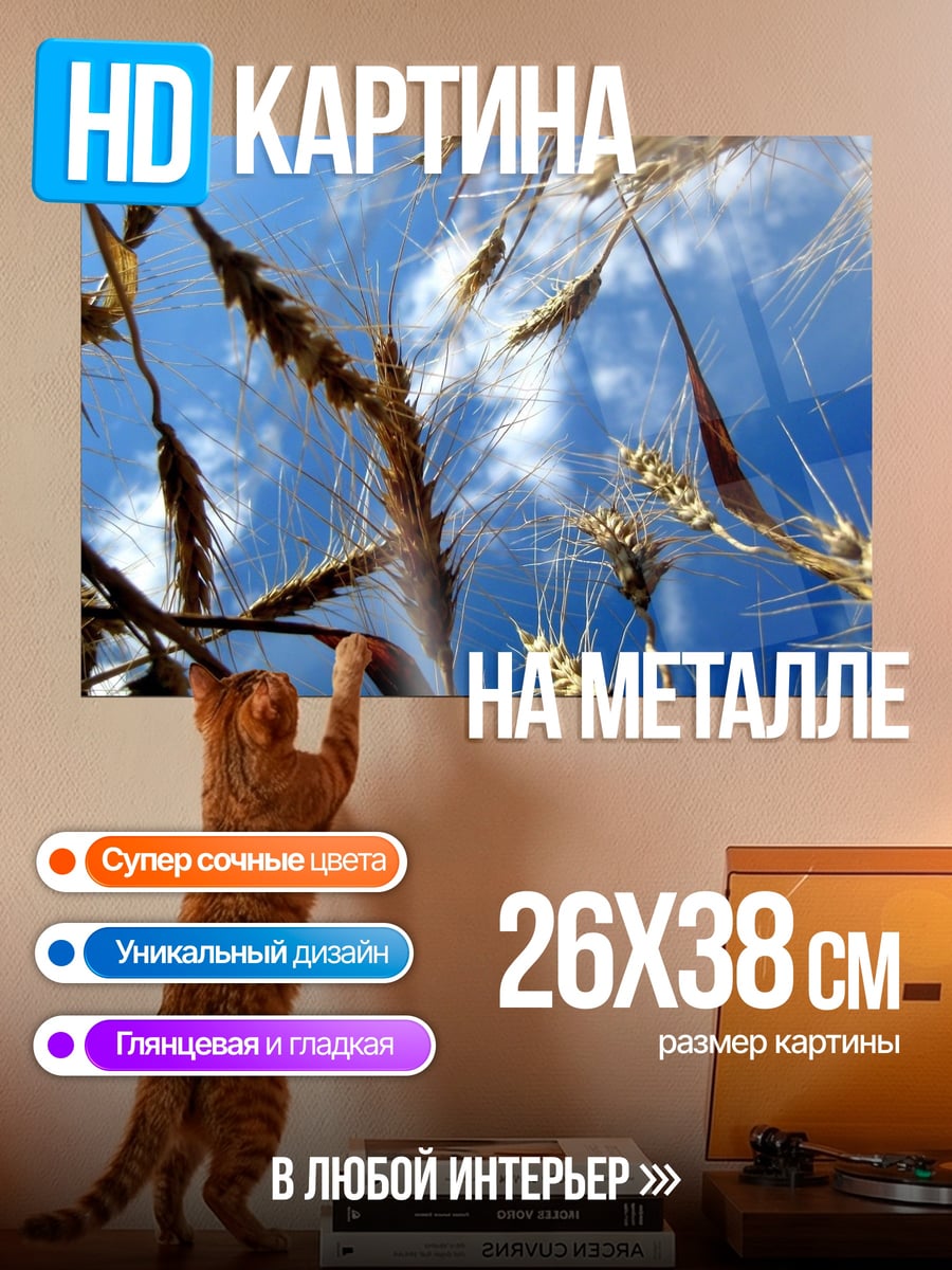 Картина на металле Колосья на ветру