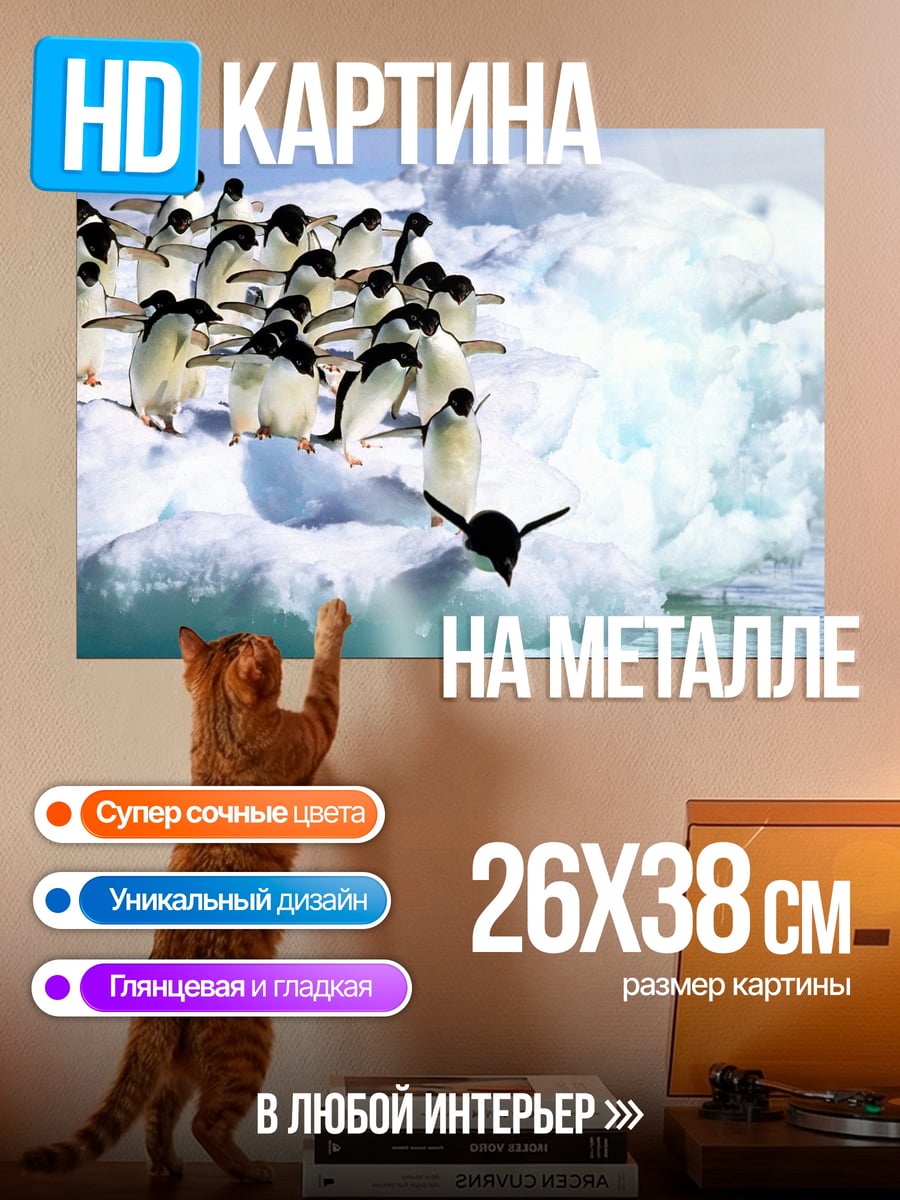 Картина на металле Пингвины на льдине