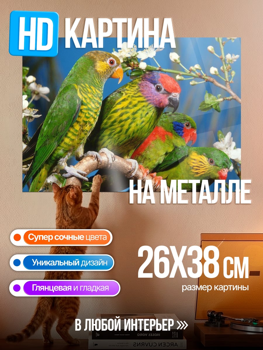 Картина на металле Радужные попугаи