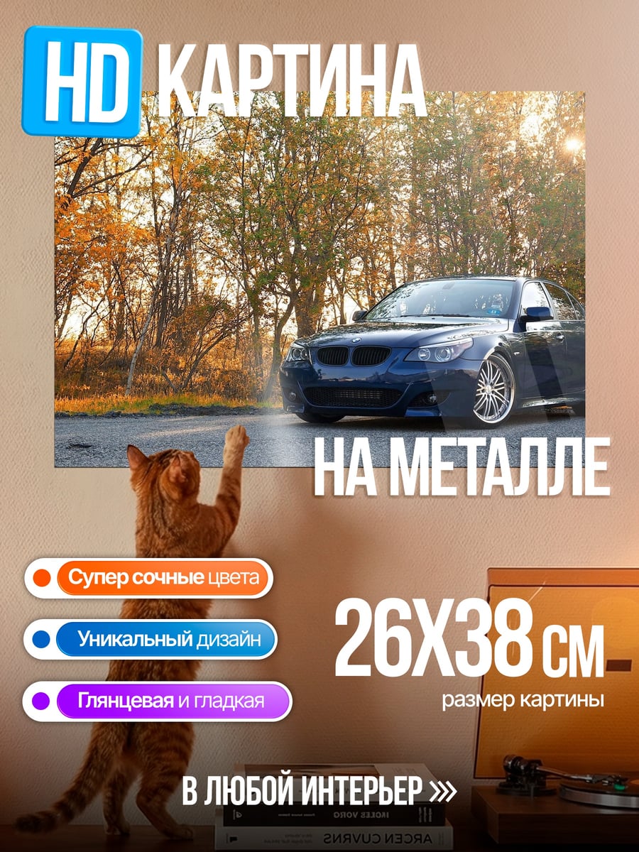 Картина на металле Автомобиль осенью