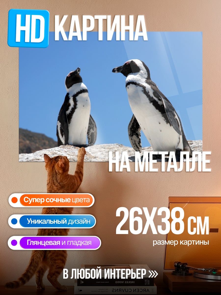 Картина на металле Два пингвина на камне
