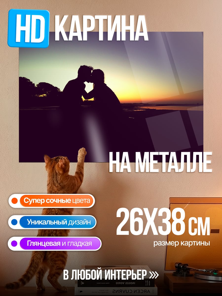 Картина на металле Пара на закате