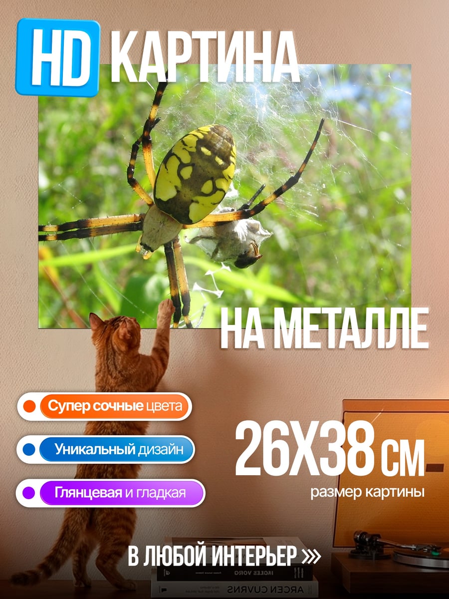 Картина на металле Паук на паутине