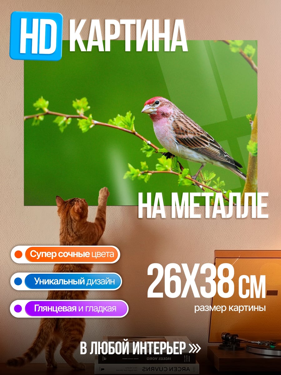 Картина на металле розовый чиж