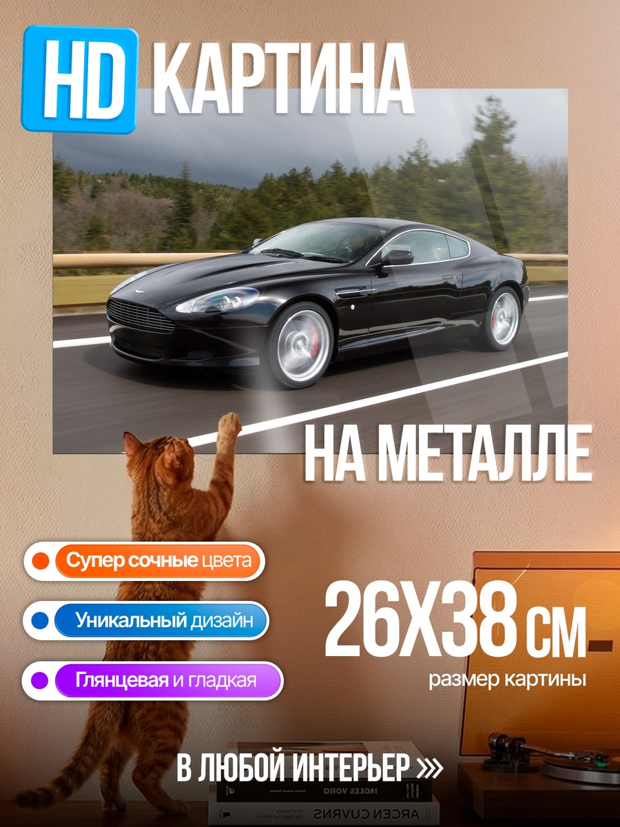Картина на металле Черный спорткар на дороге