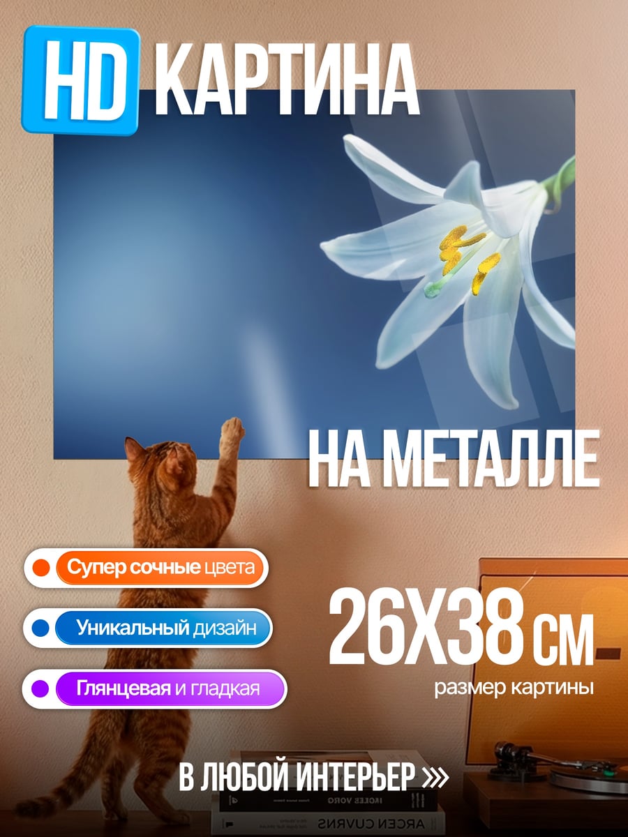 Картина на металле Белая лилия на синем