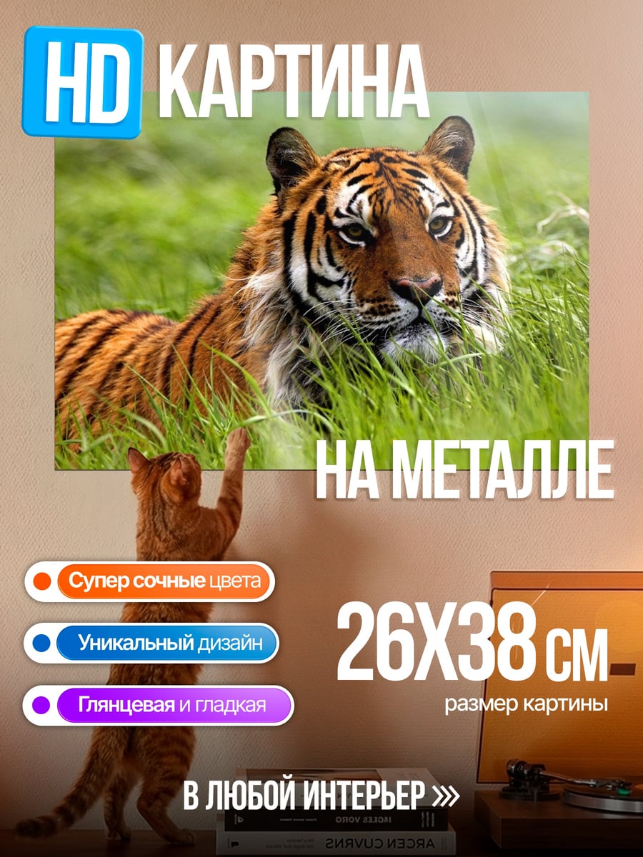 Картина на металле Тигр в траве
