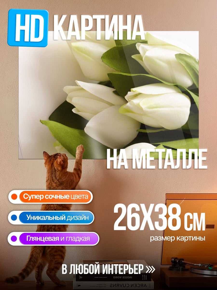 Картина на металле Букет белых тюльпалых тюльпанов