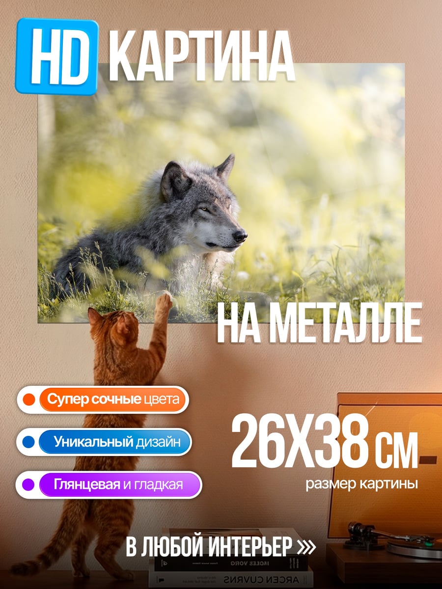 Картина на металле Лесной волк