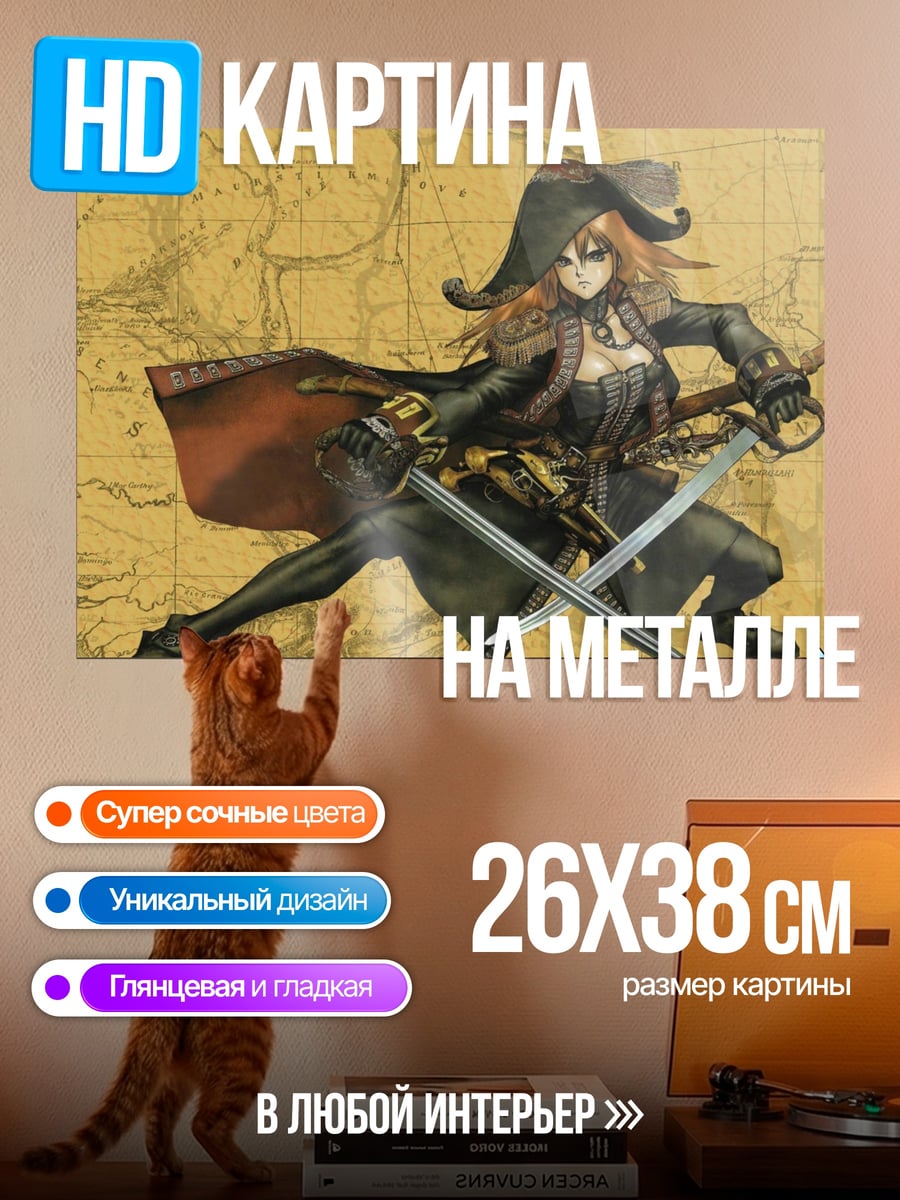 Картина на металле пиратская королева самурай