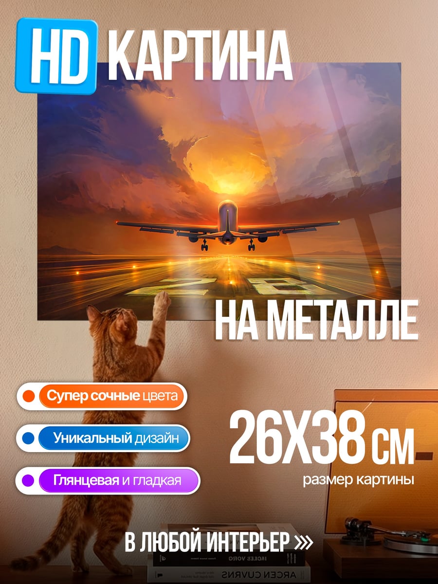 Картина на металле Самолет на взлете