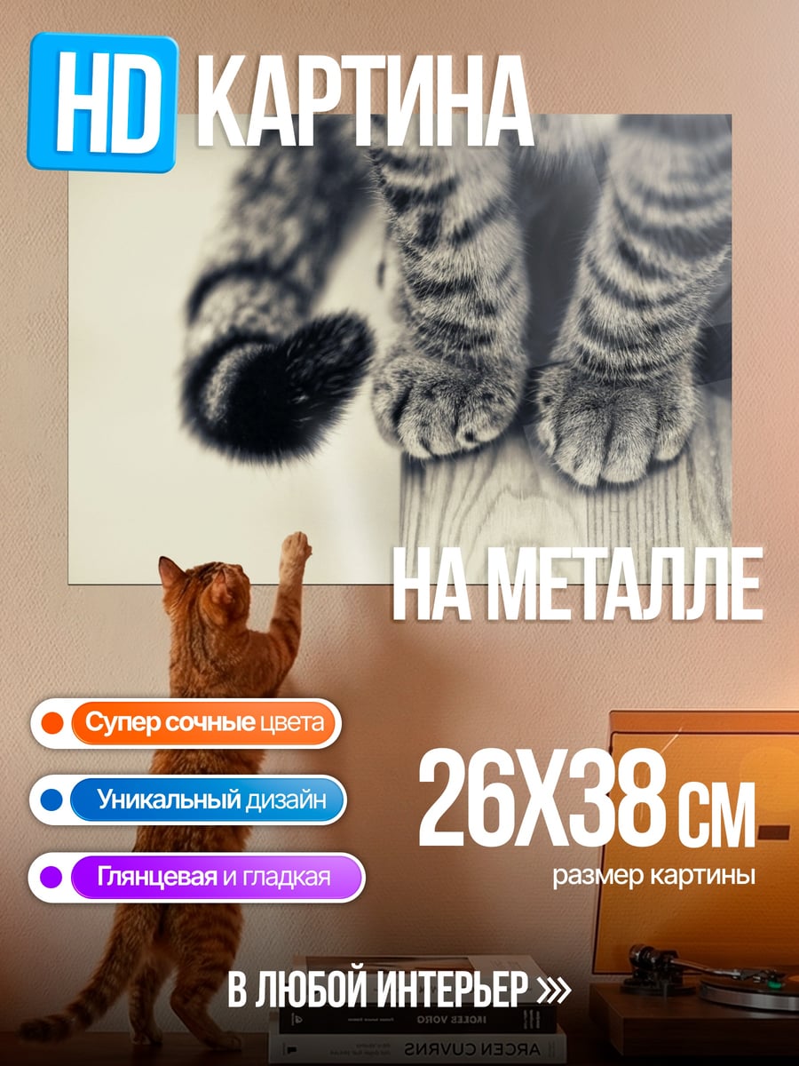 Картина на металле Кошачьи лапки