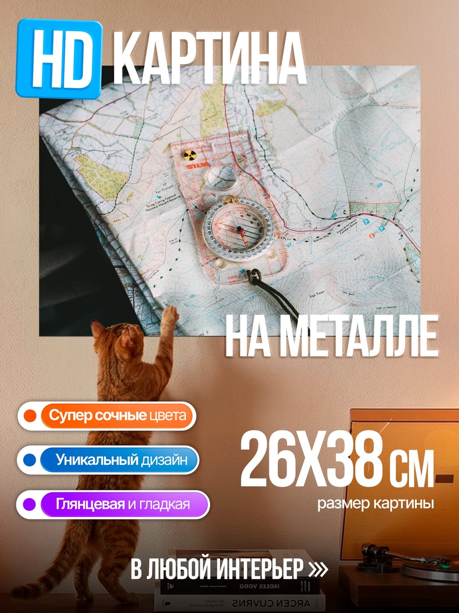 Картина на металле Карта и компас