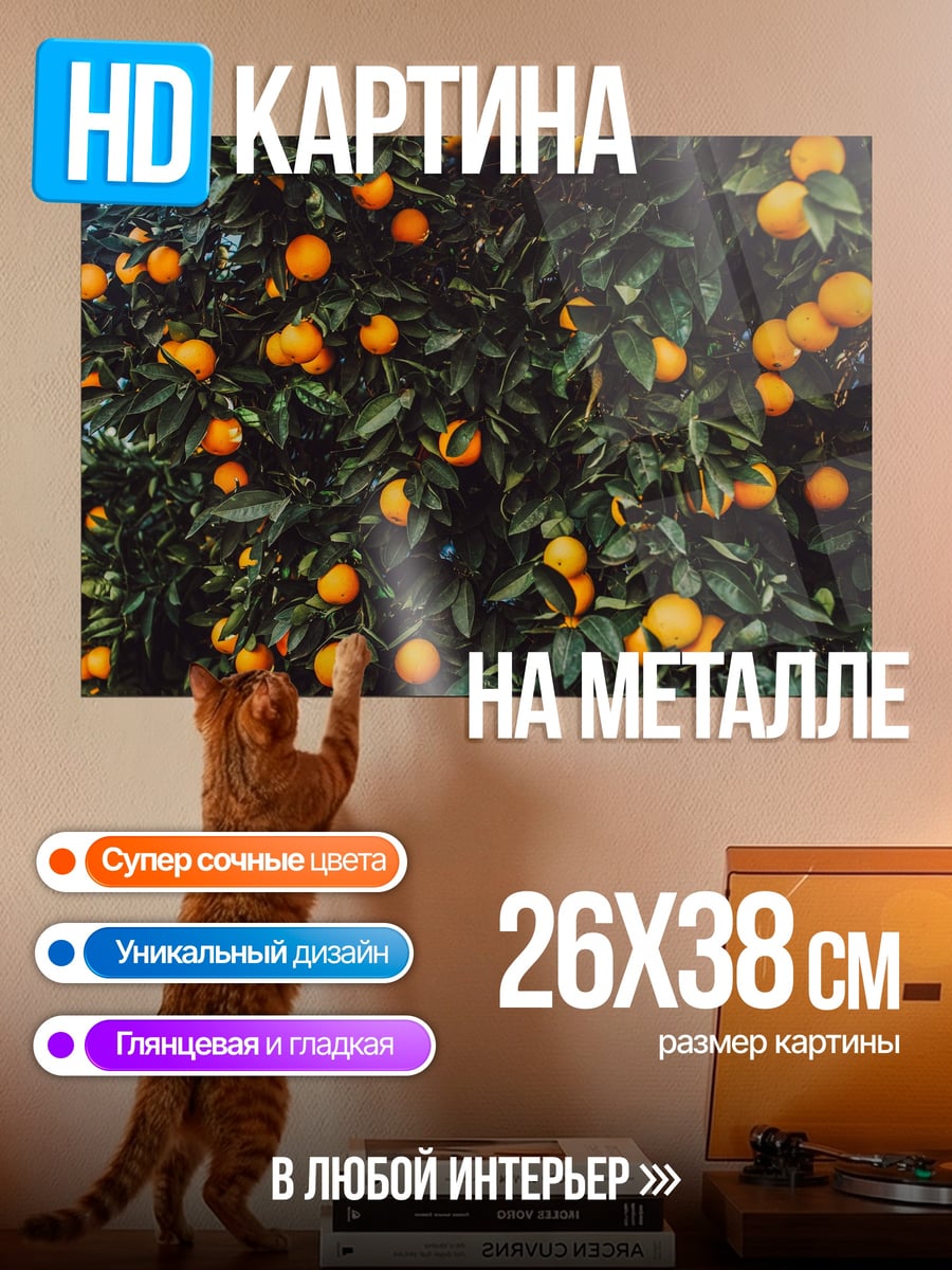 Картина на металле Апельсиновое дерево