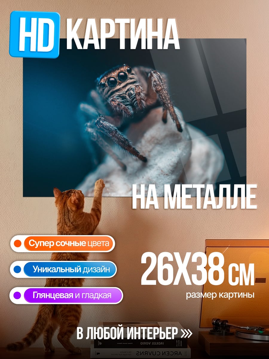 Картина на металле Паук на цветке