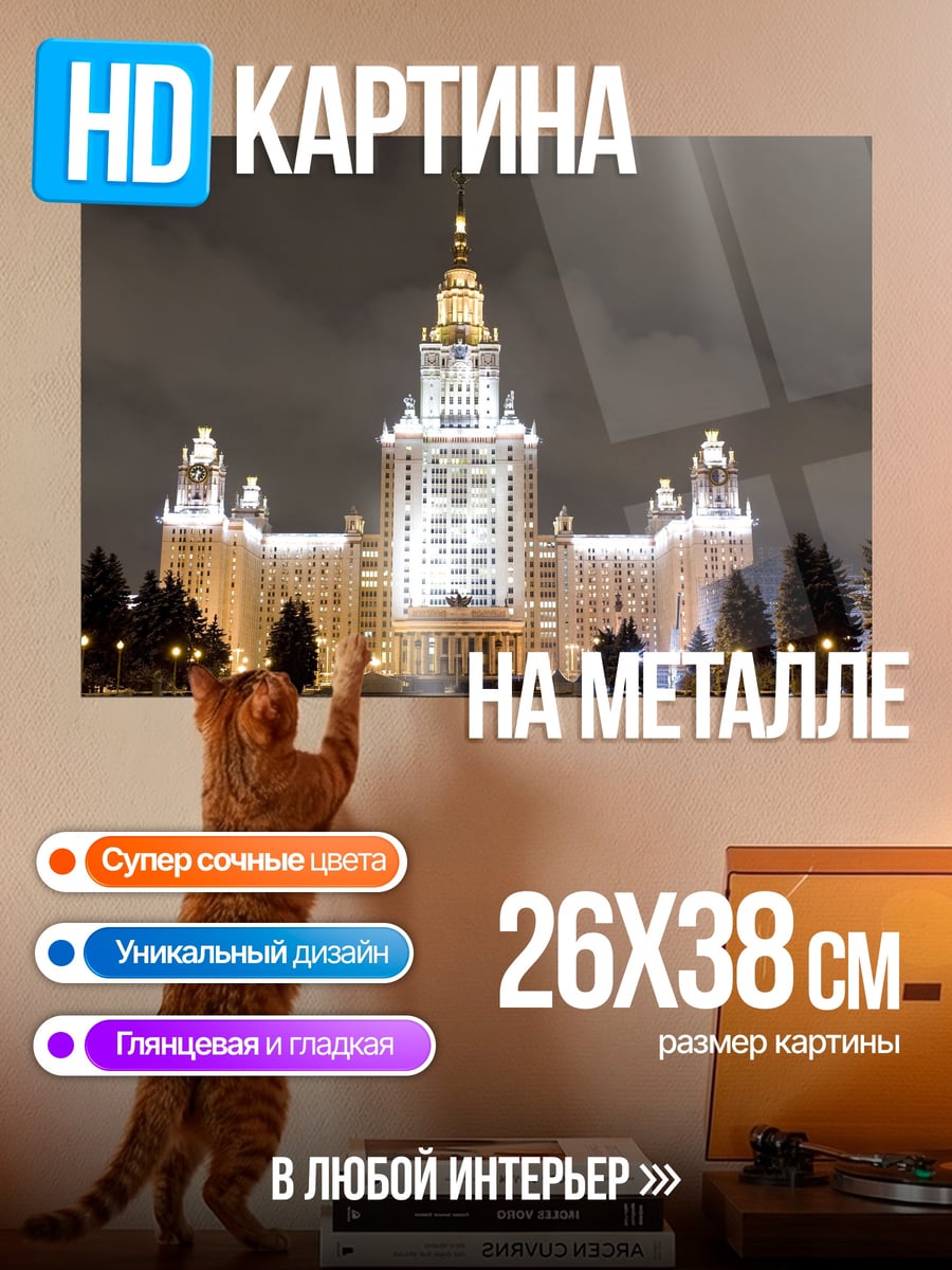 Картина на металле МГУ ночью