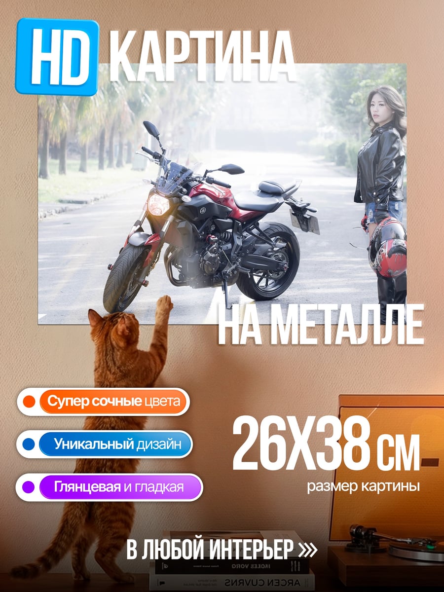 Картина на металле Девушка и мотоцикл