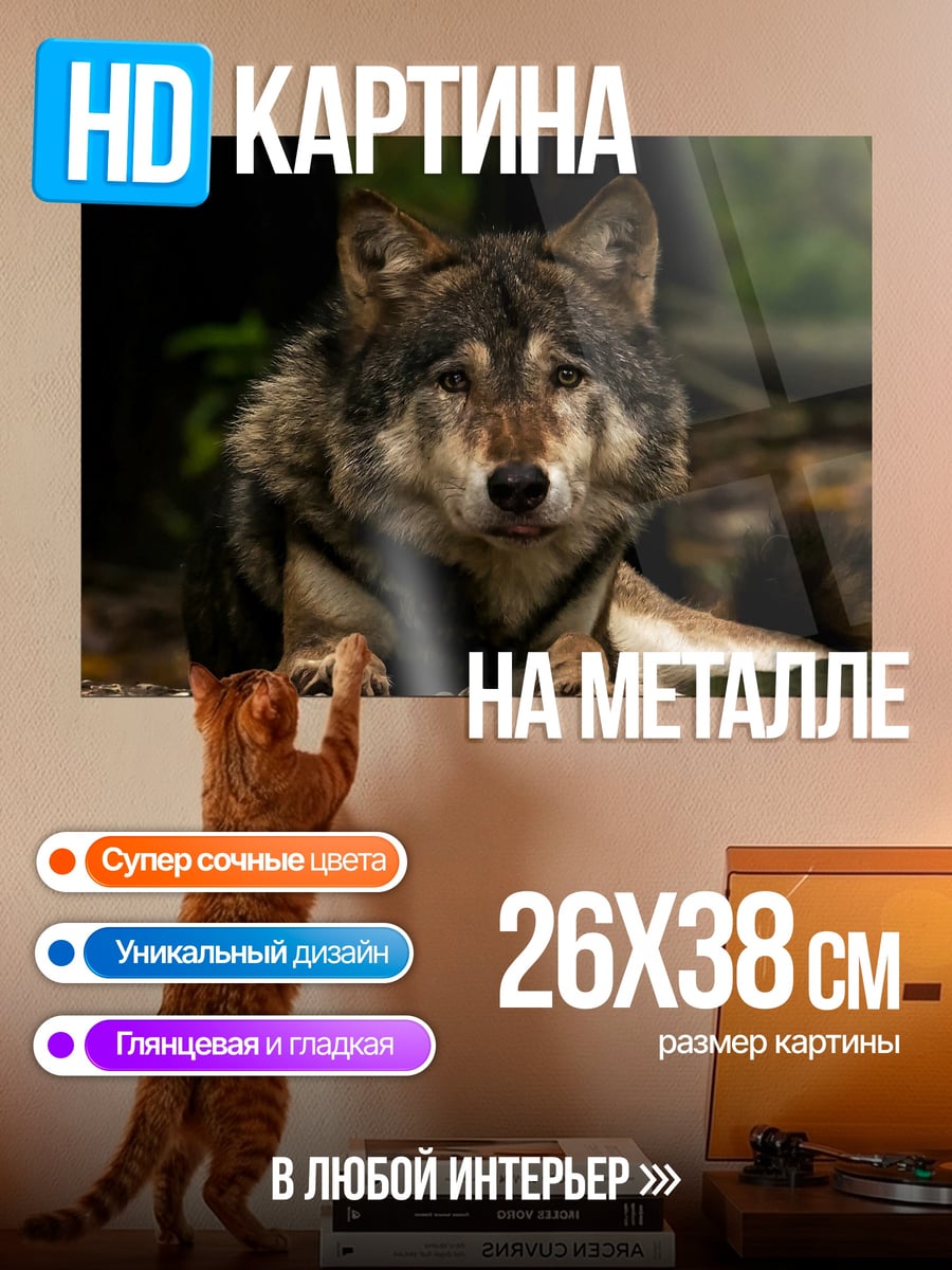 Картина на металле Портрет волка