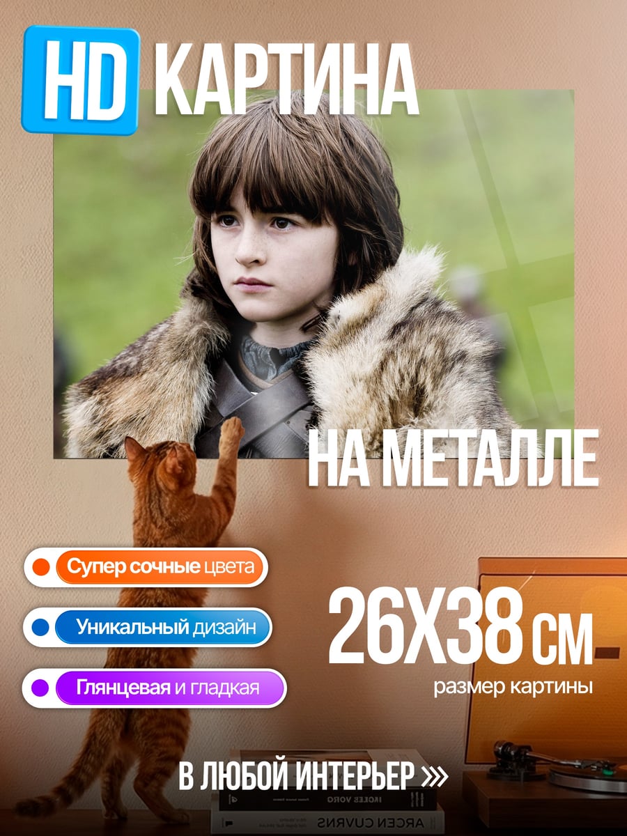 Картина на металле Бран Старк