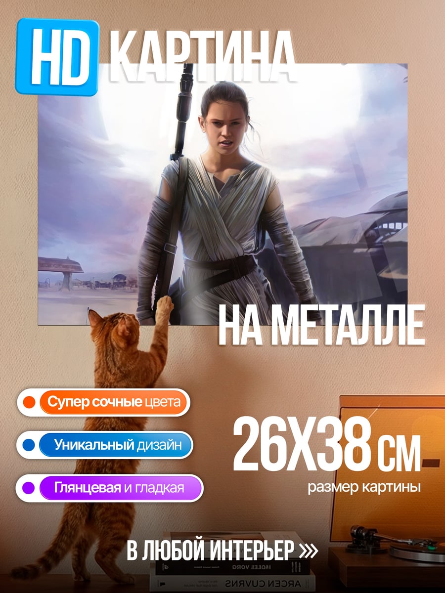 Картина на металле Рей из Звездных Войн